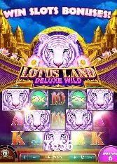 Slots na Plataforma 7656